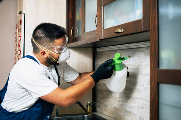  Marion, TX Pest Control Pros
