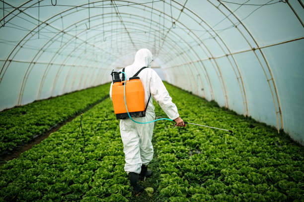 Best Pest Removal Services  in Marion, TX