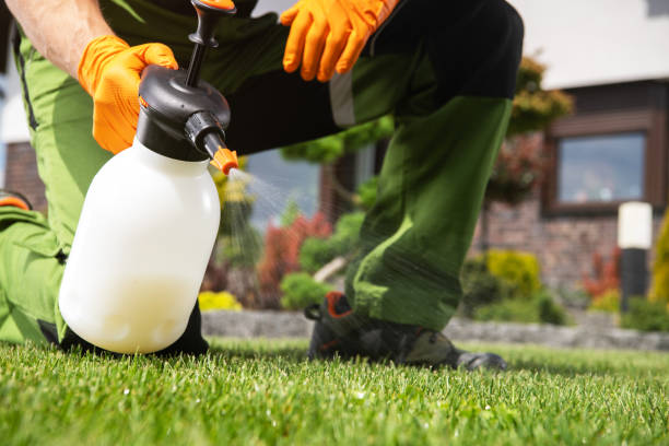 Best Pest Prevention Services  in Marion, TX