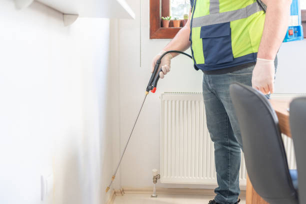 Best Ant Control Services  in Marion, TX