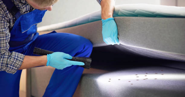 Best Local Pest Control Services  in Marion, TX