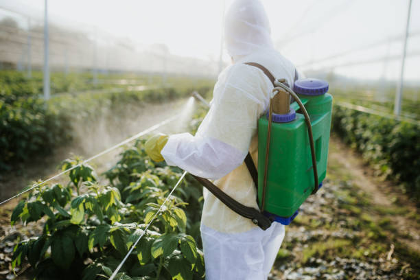 Pest Control Cost in Marion, TX